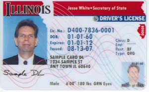 Sample Illinois driver's license