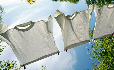 Photo of T-shirts on clothesline