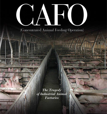 Book cover of "CAFO (Concentrated Animal Feeding Operation) The Tragedy of Industrial Animal Factories"