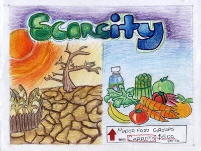 Joyce Z., a fifth-grader at Spring Brook Elementary School in Naperville, was a 2011 state winner for this poster illustrating the concept of scarcity.
