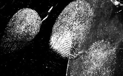 Latent fingermarks from a male donor developed on aluminium foil.<br />(Image provided by Xanthe Spindler)