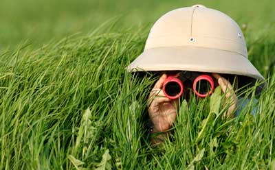 Photo of explorer in tall grass with binoculars