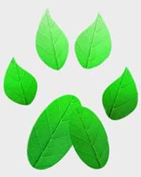 Logo of NIU's Green Paws Environmental Alliance