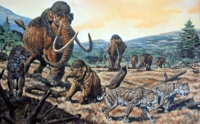 Illustration of a smilodon with elephants