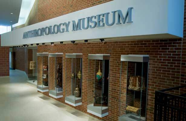 The Anthropology Museum