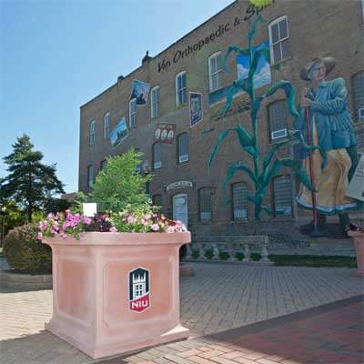 Planters containing flowers and small shrubs were placed in and around downtown DeKalb and throughout the NIU campus in June 2012 as a part of an initiative called Communiversity in Bloom.