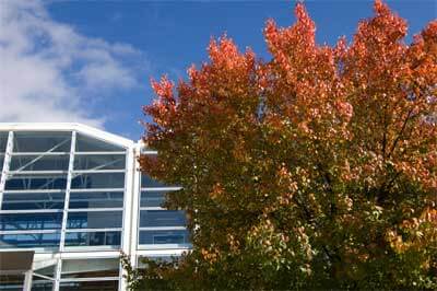 A photo of the Engineering Building in autumn