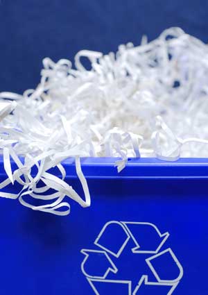 Photo of shredded documents in a blue recylce bin