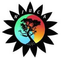 NIU Counseling Association logo