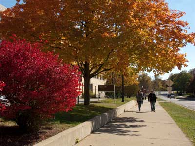 Trees with colorful autumn leaves line Normal Road on campus.