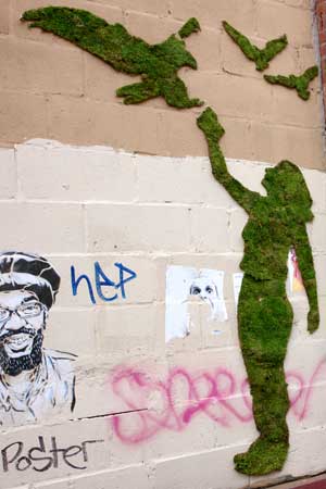 Stenciled moss graffiti by “green graffiti” artist Edina Tokodi. Image courtesy of Edina Tokodi.