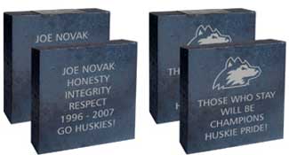 Examples of Legacy bricks