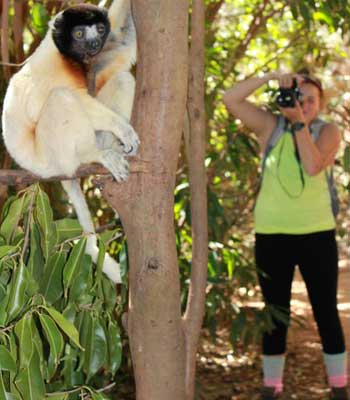 Students practiced data collection techniques on free-ranging captive lemurs before heading to the forest.