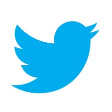 Twitter’s blue bird logo