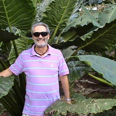 Giovanni Bennardo standing amid a kape plant, or giant taro, in Tonga.