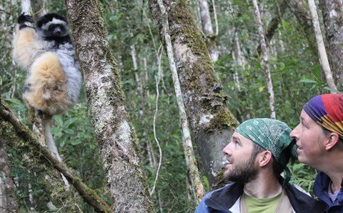Mitch Irwin and Karen Samond observe a lemur in Madagascar.