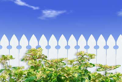 Photo of a white picket fence with blue skies behind