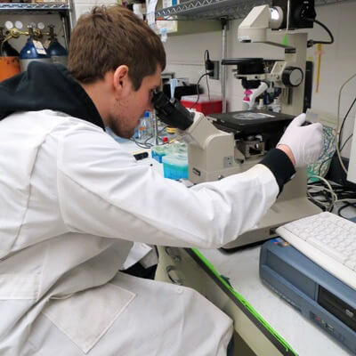 Biological Sciences major Zachary Howard works in Barrie Bode’s lab as a Research Rookie.