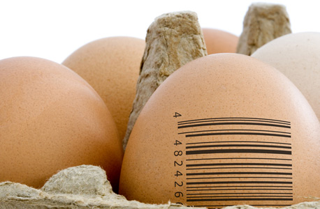 Photo of a barcode on eggs in a carton