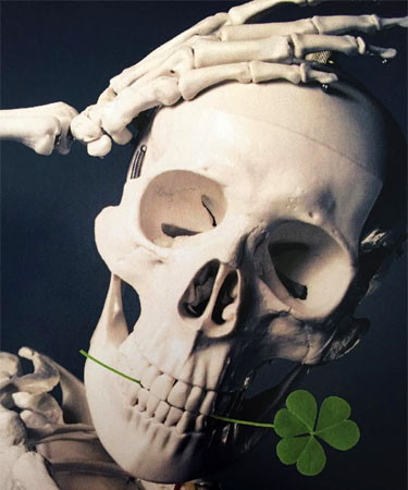 Photo of a skull and a clover