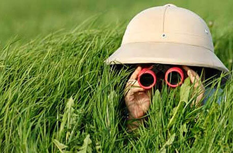 Photo of an explorer in the tall grass with binoculars
