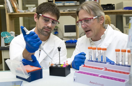 Former NIU student Erik Curry (now in medical school at SIU) and Barrie Bode pipette samples from cancer cells for analysis.
