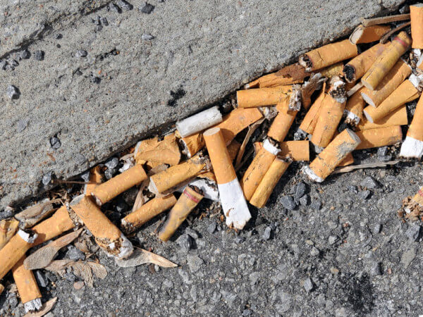 Cigarette butts discarded on the curb