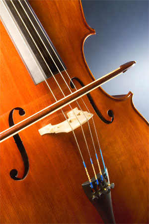 Close-up of a cello and bow