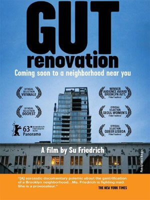 DVD cover of "Gut Renovation"