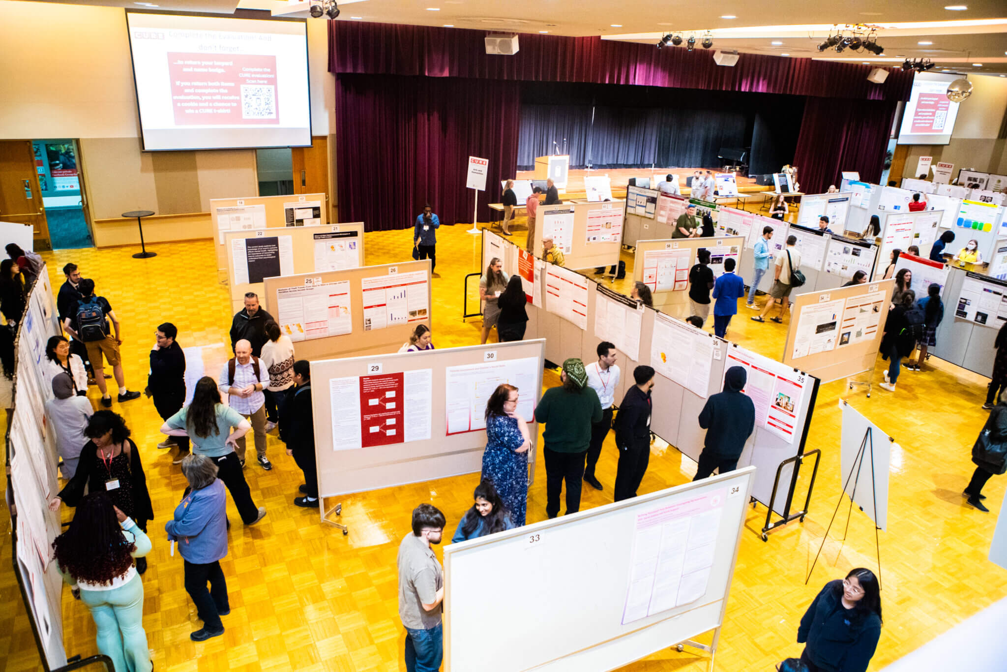NIU Today | CURE expands student presentation opportunities with new ...